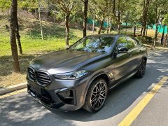 BMW X6 M 2023 X6 M Thunder Edition - фото 9