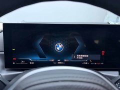 BMW 3 Series 320Li M Sport Package - фото 11