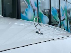 Mercedes-Benz E-Class facelift E 300 L luxury - фото 8