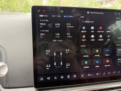 Li Auto Ideal L8 Pro - фото 6