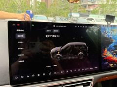 Li Auto Ideal L8 Pro - фото 8