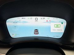 BYD Song PLUS New Energy 2025 DM-i 112KM Honor Type - фото 19