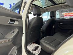 Haval Red Rabbit Exclusive Edition 1.5T Red Bronze Rabbit - фото 12