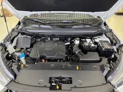 Haval Red Rabbit Exclusive Edition 1.5T Red Bronze Rabbit - фото 13