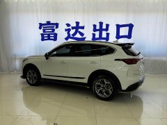 Haval Red Rabbit Exclusive Edition 1.5T Red Bronze Rabbit - фото 4