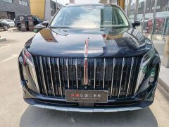 Hongqi HS7 PHEV 2025 2.0T PHEV four-wheel drive 2 million units commemorative edition 6 seats - фото 2