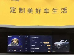 Hongqi E-HS9 660km Qichang version six seats - фото 19