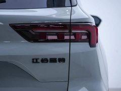 Ford Lingrui New Energy PLUS - фото 11