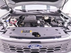 Ford Lingrui New Energy PLUS - фото 13