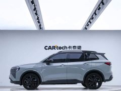 Ford Lingrui New Energy PLUS - фото 9
