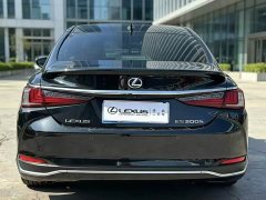 Lexus ES 300h Executive Edition - фото 9