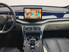 BYD Qin PLUS 2021 DM-i 55KM flagship - фото 12