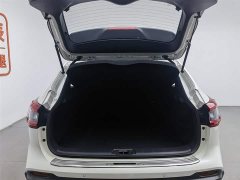 Nissan Qashqai 2022 2.0L CVT XV Prem Deluxe Edition - фото 16
