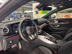 Mercedes-Benz AMG GT AMG GT 50 four-door sports car - фото 4