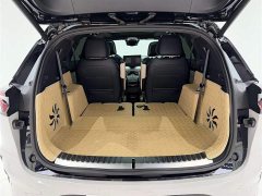 BYD Tang DM-p 2022 215KM 4WD Flagship Edition - фото 14