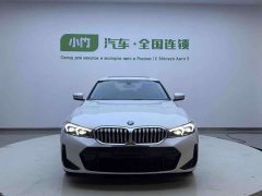 BMW 3 Series 320Li M Sport Package - фото 3