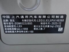 Buick GL8 2023 ES Lu Zun Exclusive - фото 18