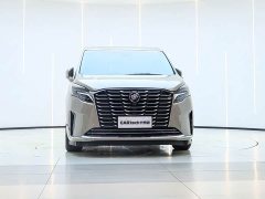 Buick GL8 2023 ES Lu Zun Exclusive - фото 5