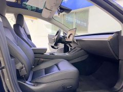 Tesla Model 3 rear-wheel drive version - фото 11