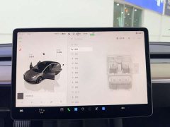 Tesla Model 3 rear-wheel drive version - фото 20
