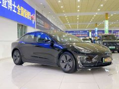 Tesla Model 3 rear-wheel drive version - фото 3
