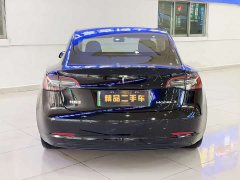 Tesla Model 3 rear-wheel drive version - фото 5