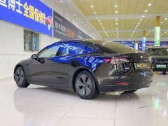 Tesla Model 3 rear-wheel drive version - фото 6