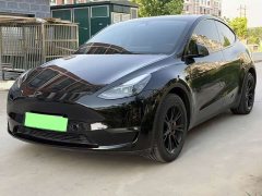 Tesla Model Y long-range all-wheel drive version - фото 1