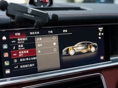 Porsche Panamera 2.9T Platinum Edition - фото 13