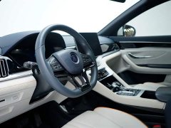 BYD Song PLUS New Energy 2021 DM-i 110KM flagship - фото 6