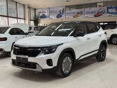 Lexus Sethus 1.5L IVT Luxury Comfort Edition - фото 1