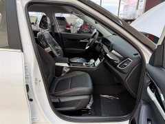 Lexus Sethus 1.5L IVT Luxury Comfort Edition - фото 20