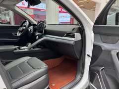 BYD Song Pro New Energy 2019 EV High Power Edition Luxury - фото 18