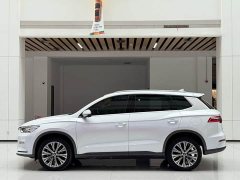 BYD Song Pro New Energy 2019 EV High Power Edition Luxury - фото 8