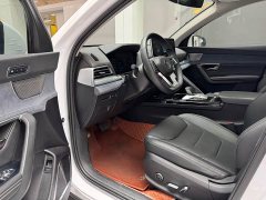 BYD Song Pro New Energy 2019 EV High Power Edition Luxury - фото 9