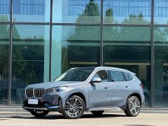 BMW X1 xDrive25Li X-Line - фото 1