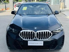 BMW X6 xDrive30i M Sports Package - фото 19