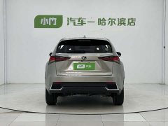 Lexus NX 2020 200 AWD Feng Shang Edition National V - фото 6