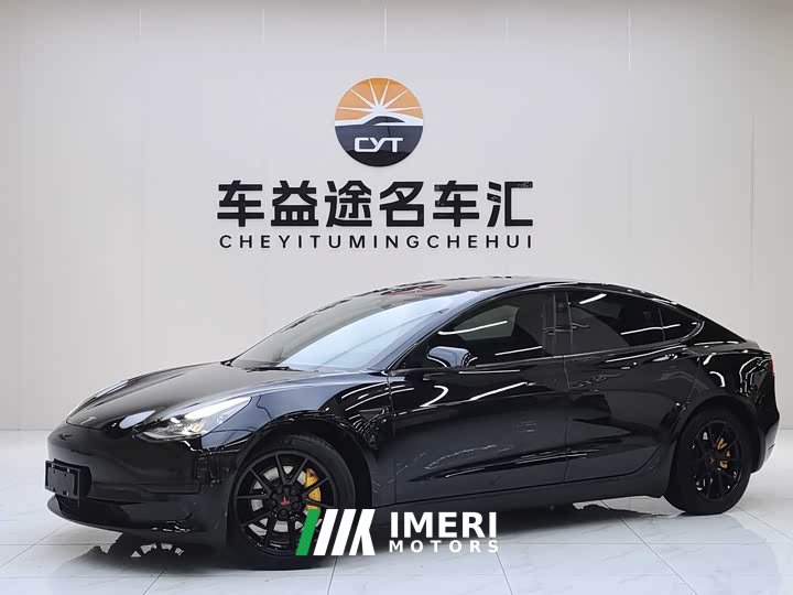 Tesla Model 3 rear-wheel drive version - автомобиль из Китая