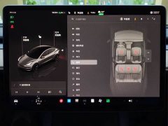 Tesla Model 3 rear-wheel drive version - фото 16