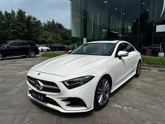 Mercedes-Benz CLS 300 Dynamic - фото 4