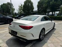 Mercedes-Benz CLS 300 Dynamic - фото 8