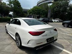 Mercedes-Benz CLS 300 Dynamic - фото 9
