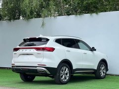 Haval H6 2021 National Fashion Edition 1.5T Automatic Champion Edition - фото 7