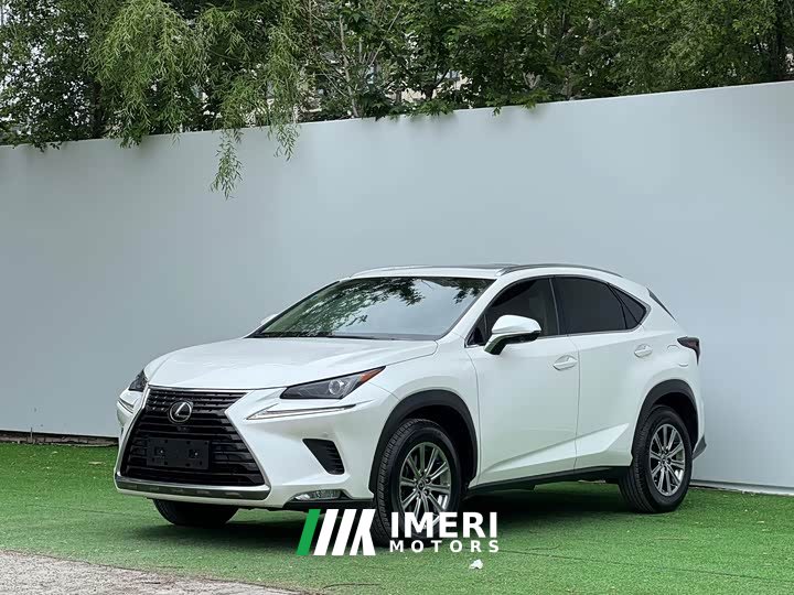 Lexus NX 2020 200 AWD Fengshang Edition National VI - автомобиль из Китая