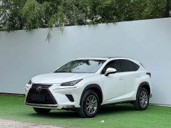 Lexus NX 2020 200 AWD Fengshang Edition National VI - фото 1