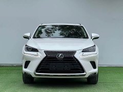 Lexus NX 2020 200 AWD Fengshang Edition National VI - фото 2