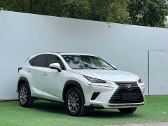 Lexus NX 2020 200 AWD Fengshang Edition National VI - фото 3