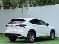 Lexus NX 2020 200 AWD Fengshang Edition National VI - фото 7