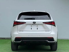 Lexus NX 2020 200 AWD Fengshang Edition National VI - фото 8
